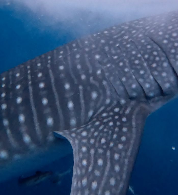 76bd49c2-03c9-4779-85d6-b3134ed40a37