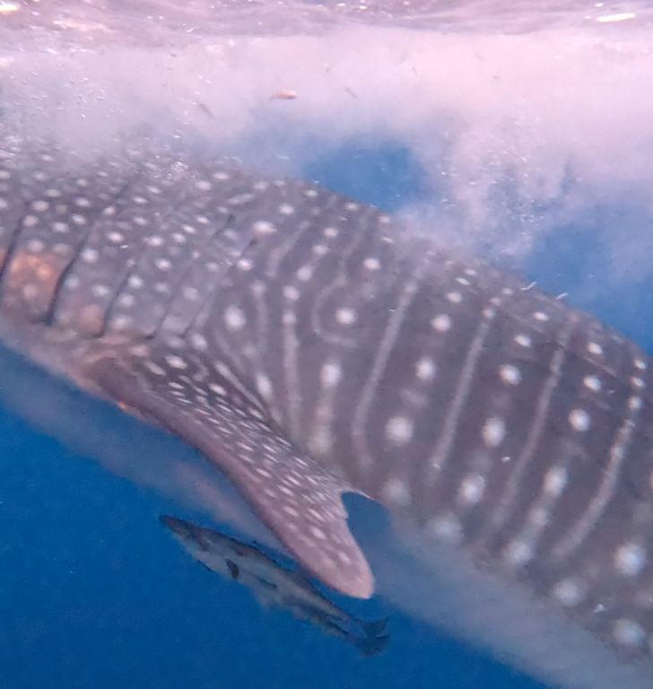 76bd49c2-03c9-4779-85d6-b3134ed40a37