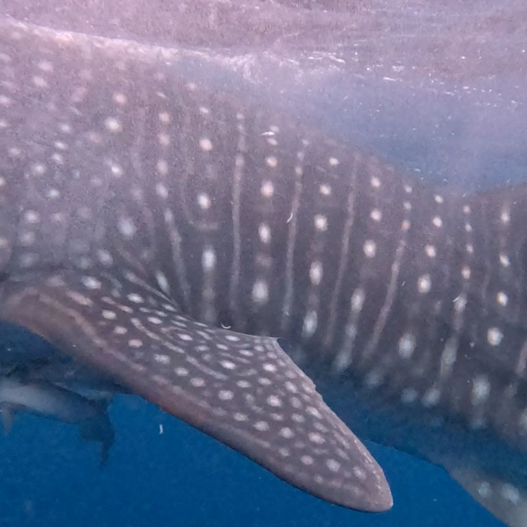 76bd49c2-03c9-4779-85d6-b3134ed40a37