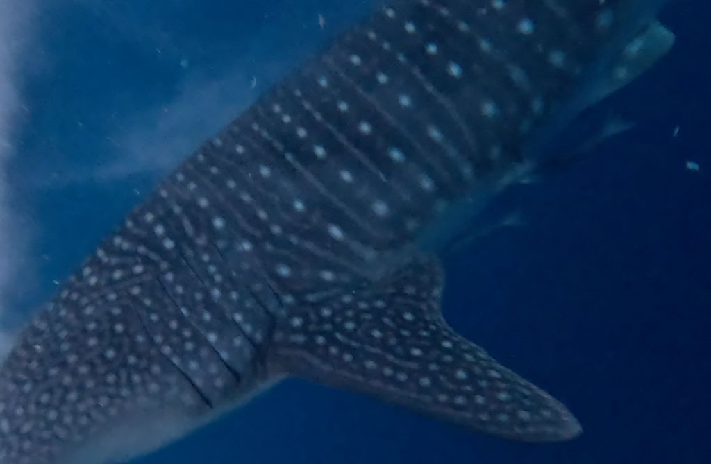 76bd49c2-03c9-4779-85d6-b3134ed40a37