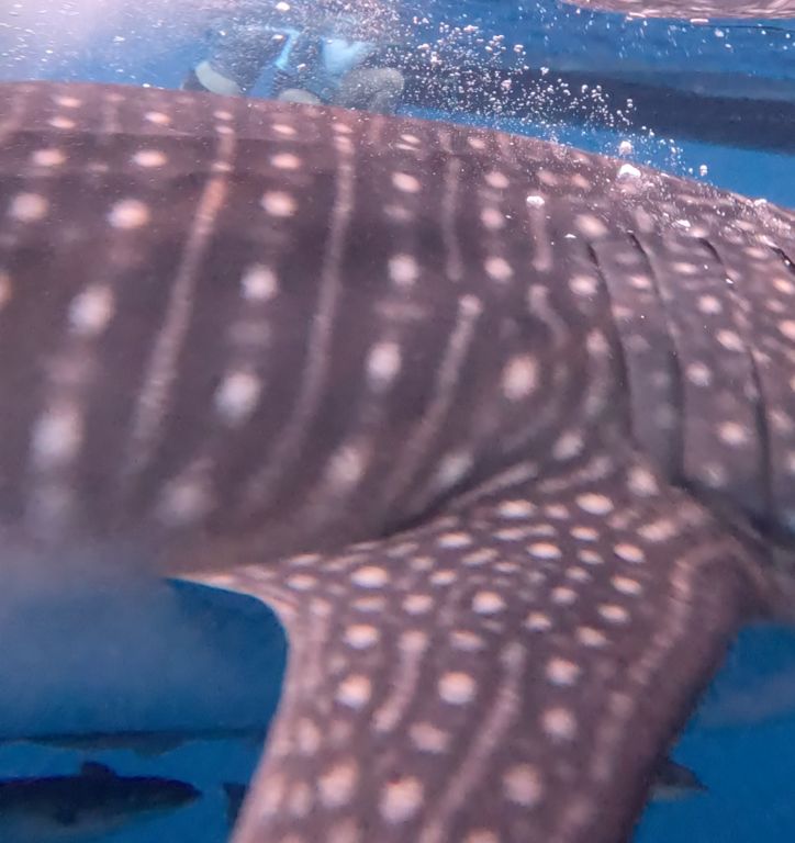 76bd49c2-03c9-4779-85d6-b3134ed40a37