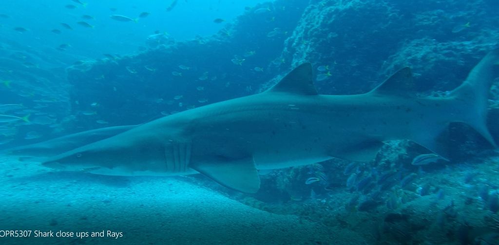 39ae6bef-a42a-45de-9ffb-4a00a4ff5f1b