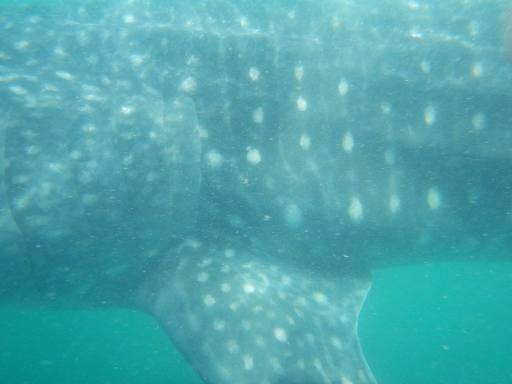 840c2b24-c1ab-416f-9b48-f6df28350e86