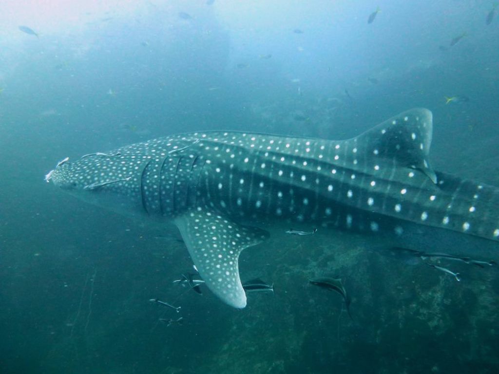 89de9166-e42f-4d75-b70f-f7875b825534