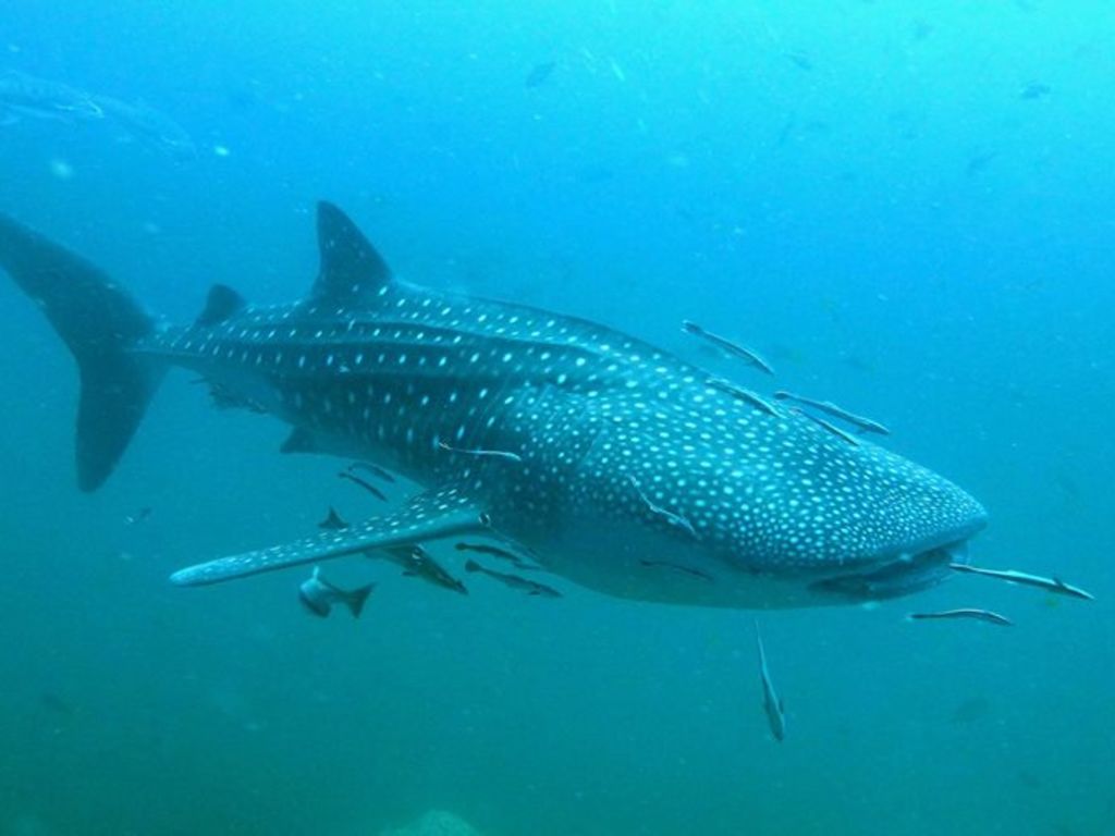 89de9166-e42f-4d75-b70f-f7875b825534