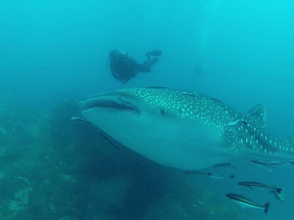 89de9166-e42f-4d75-b70f-f7875b825534