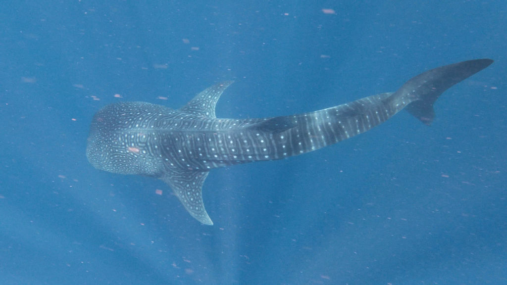 b25b9af8-87d9-44cf-8be7-a22843624c07