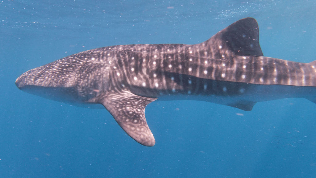 b25b9af8-87d9-44cf-8be7-a22843624c07