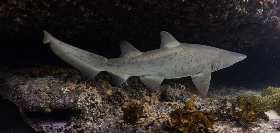 9dca47ef-036b-45b3-88bd-30682dc6fab4