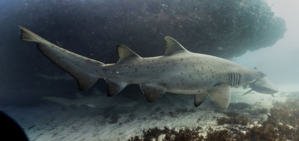 9dca47ef-036b-45b3-88bd-30682dc6fab4