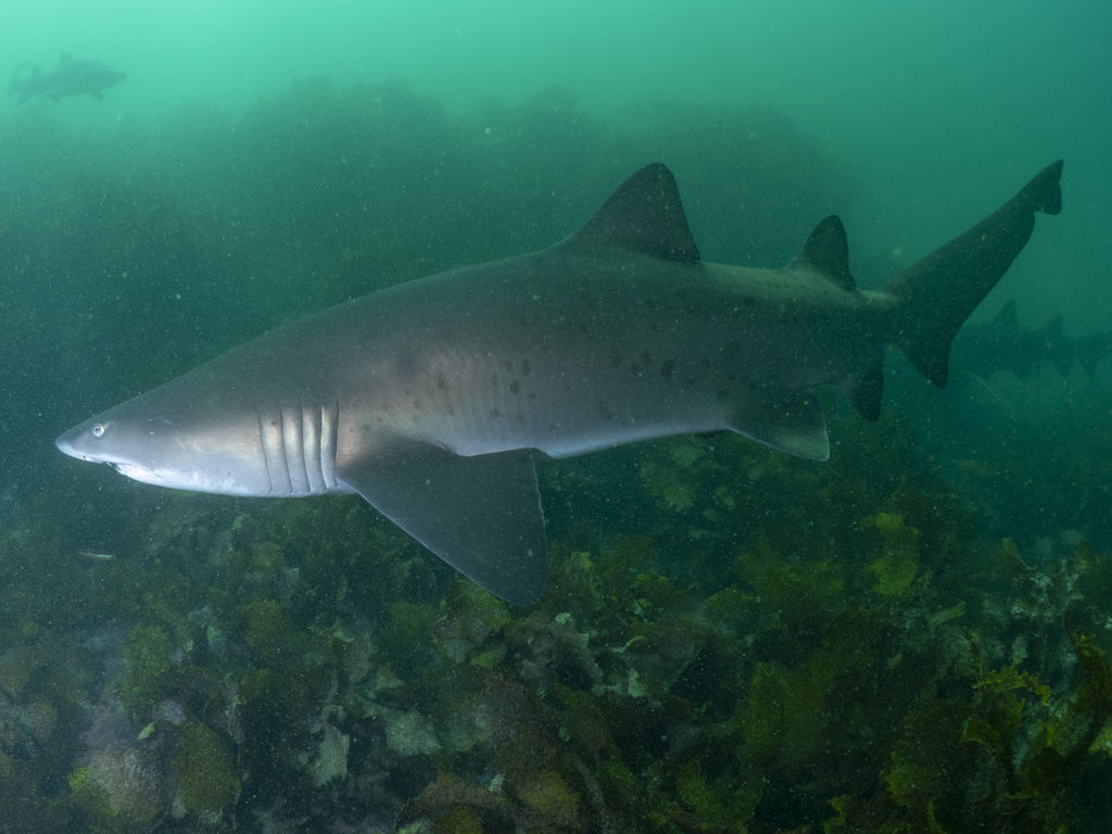 03ca343b-9765-4a58-ab5e-8ab14fdcf714