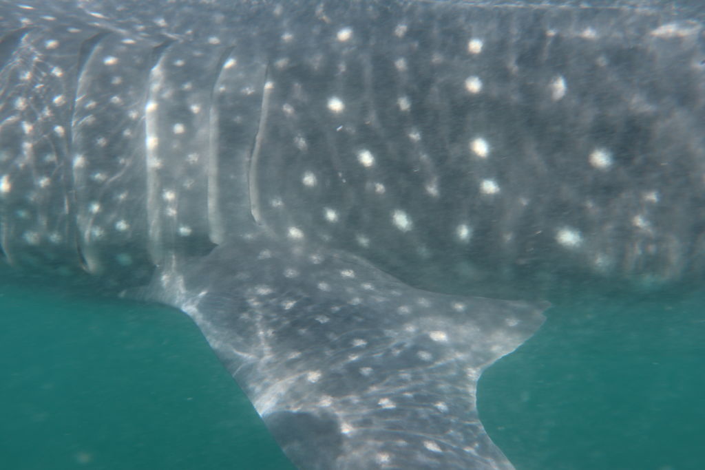 df8e3e9c-a485-40f4-a0ce-f54a59fbd1eb