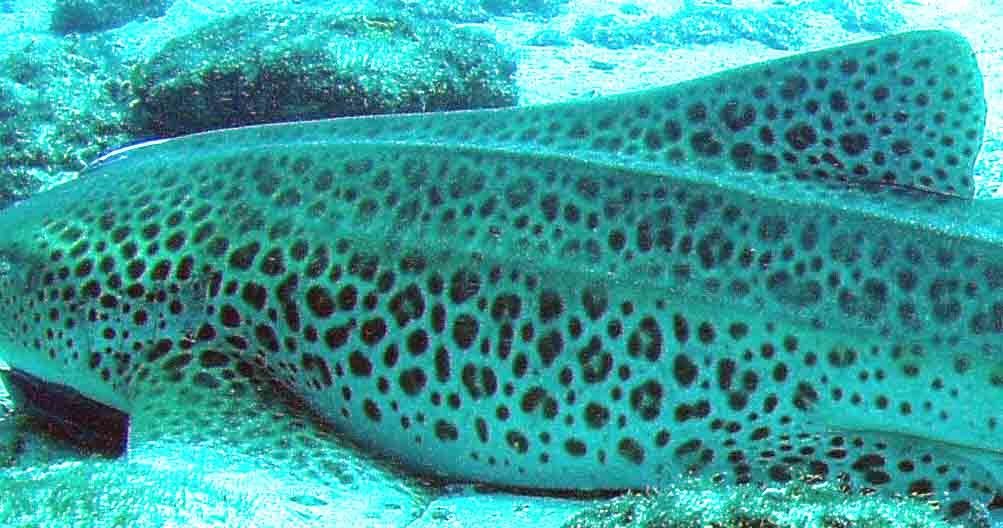 649f510a-5f45-4bff-9475-4997c8aae71f