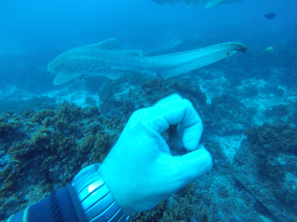 f9e10667-a551-4ca1-aa2b-fb8403cdd366