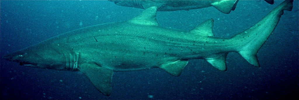 6b6664b8-8d8a-49b8-9633-1adf8345f6b9