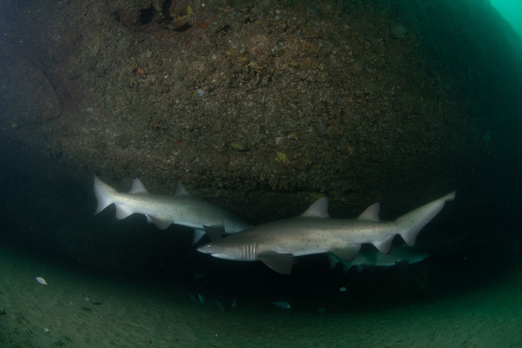 466bfa15-06fe-429b-95c3-5abdd5704bb3