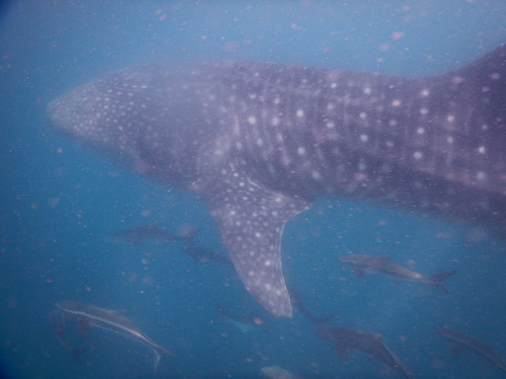 120a7c6b-c4ae-4aa5-84da-29ea396ad7b5