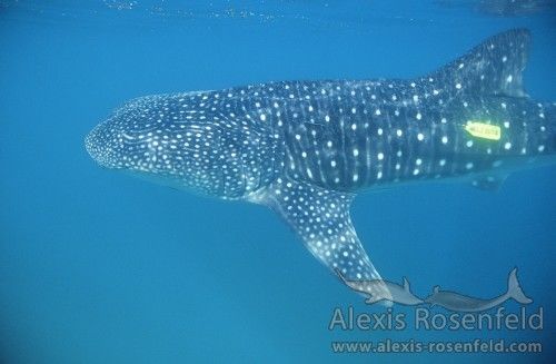 458350c6-89c0-48d1-9c0f-579fc3de9bee