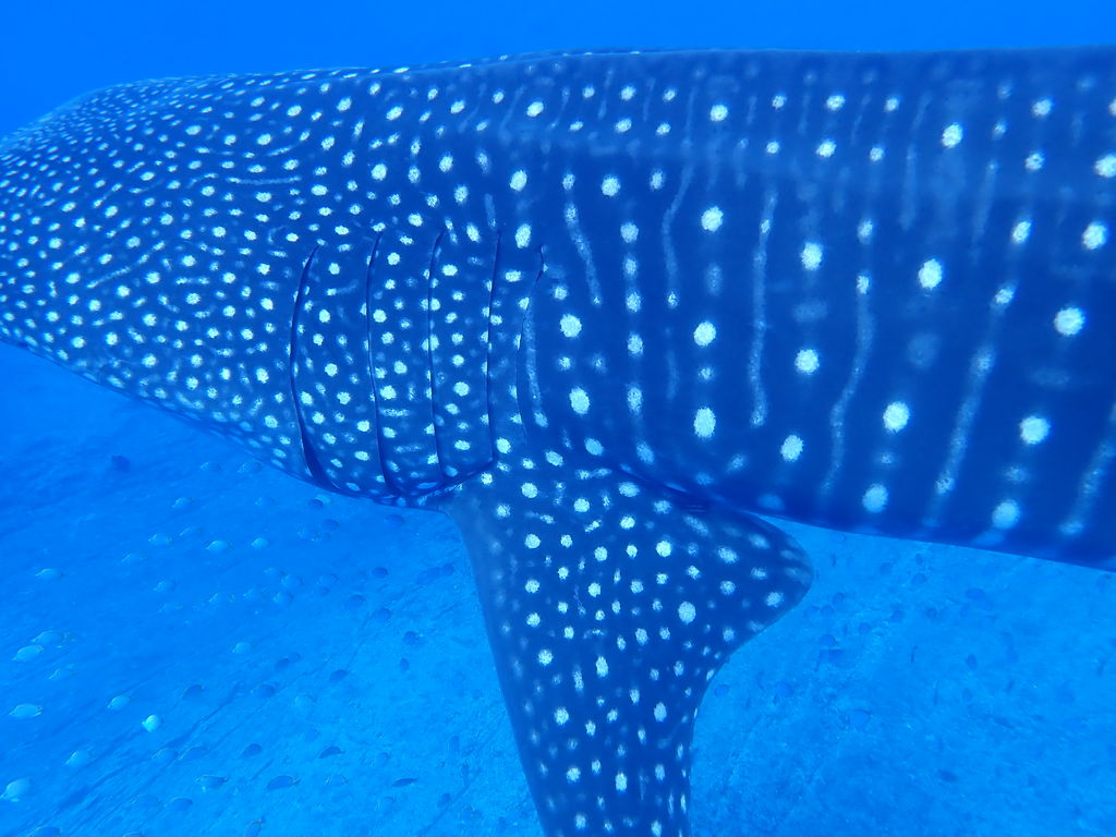 5cc16c79-5846-42b0-ba74-bdee44672b41