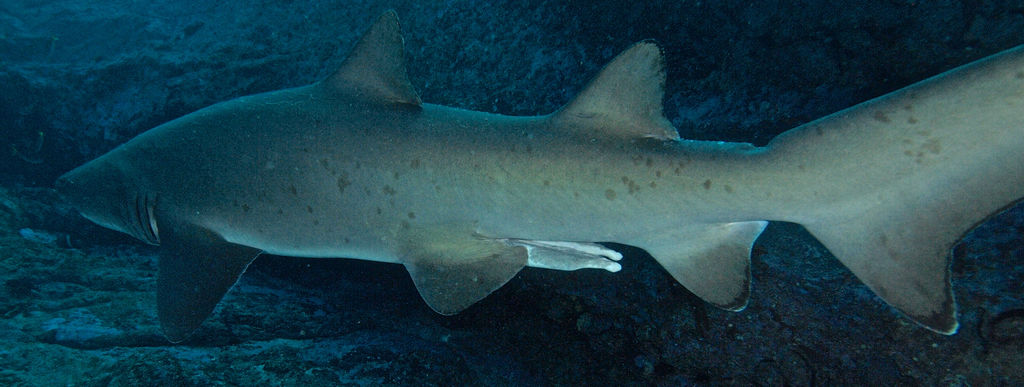 3331a317-435a-4636-8ac2-a6feb052637a