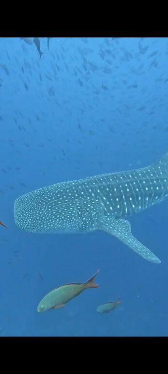 75e7bd6f-abca-46df-bc87-8d084a6b770f