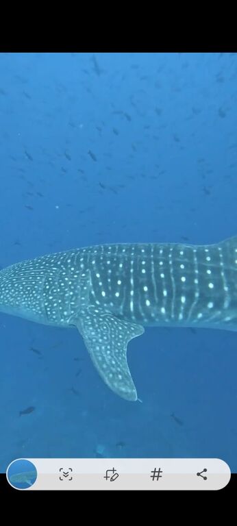 75e7bd6f-abca-46df-bc87-8d084a6b770f