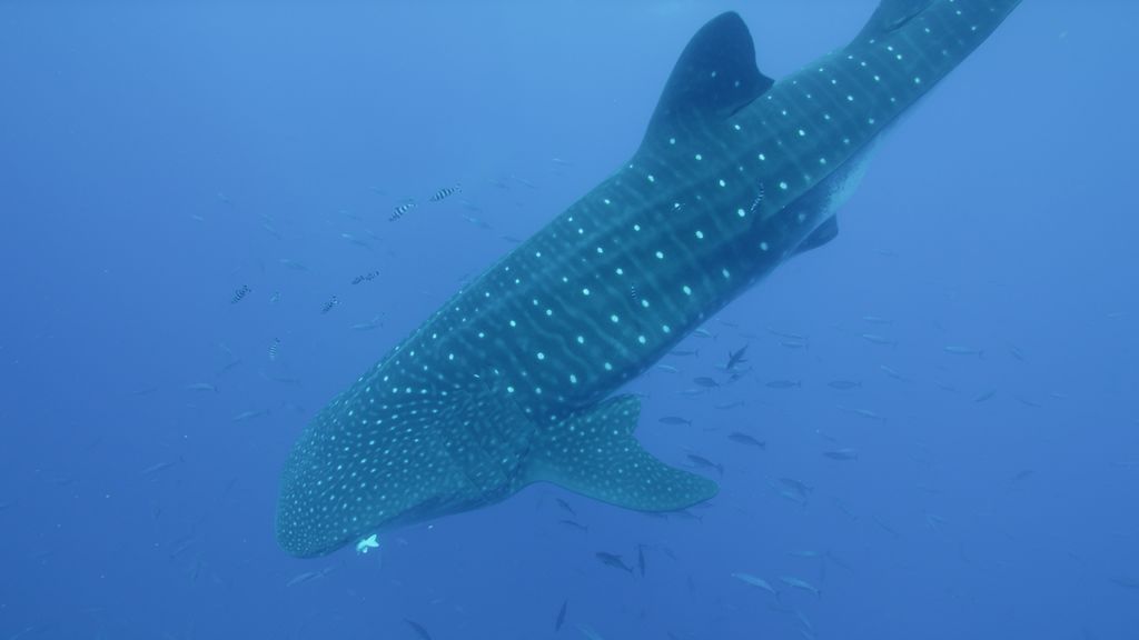 646ff34f-817c-40b5-89ec-8b02f46c97b4