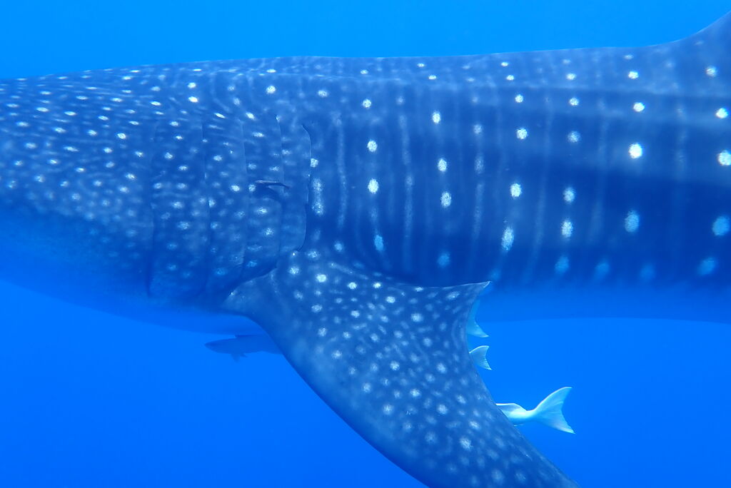 6b7d8345-ef3e-4aea-9ffb-898ea05d376e