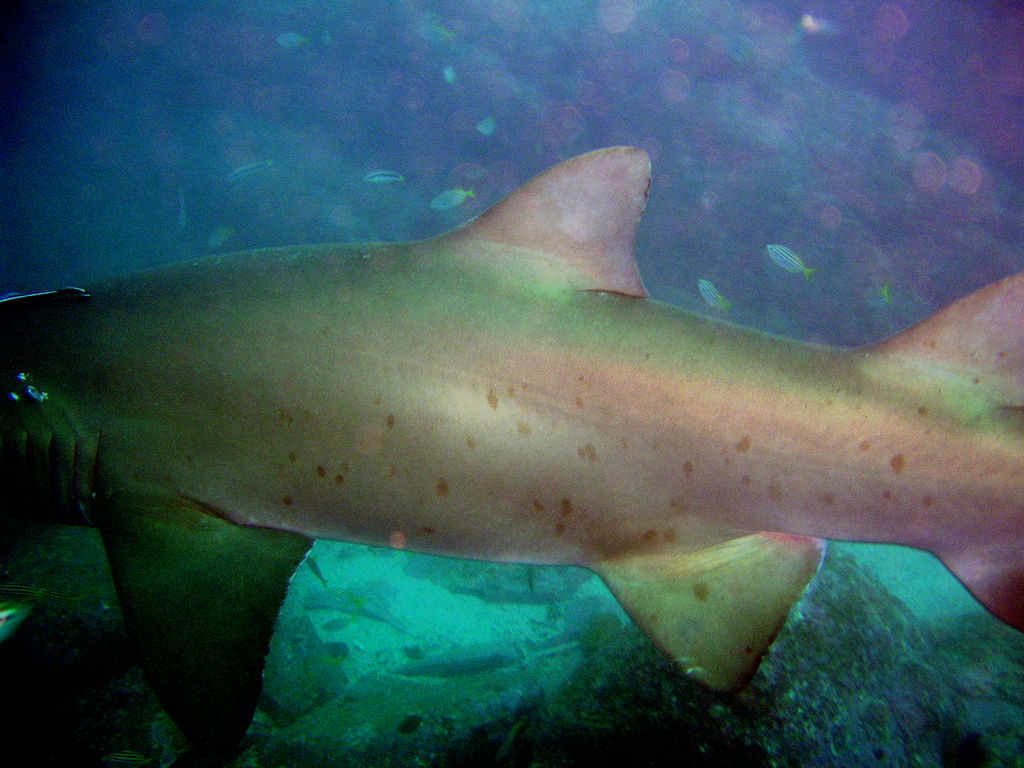 493e8e9f-4eac-4368-b000-0ca883a5c91b