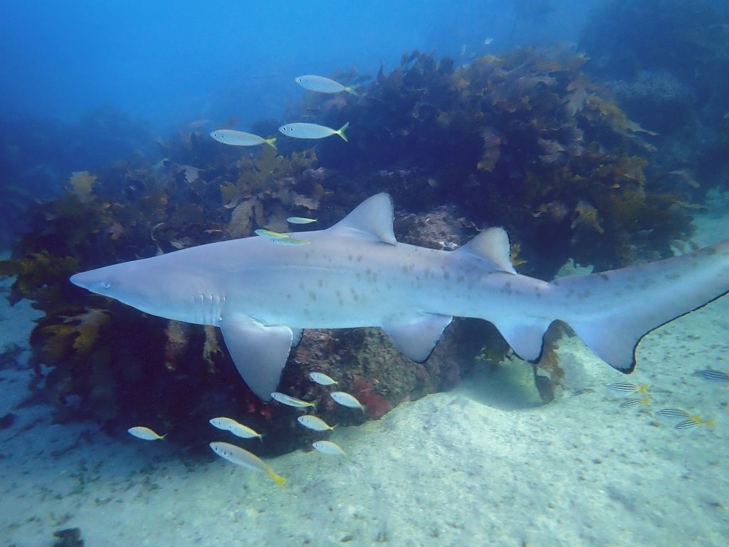 1934f939-913b-427b-83b8-dac34a906f76