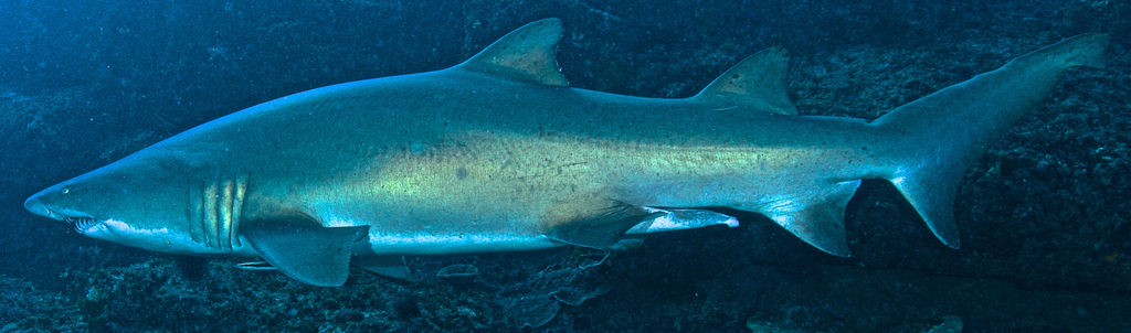 130a71fd-3b8c-4a43-a28d-3347dce1e343