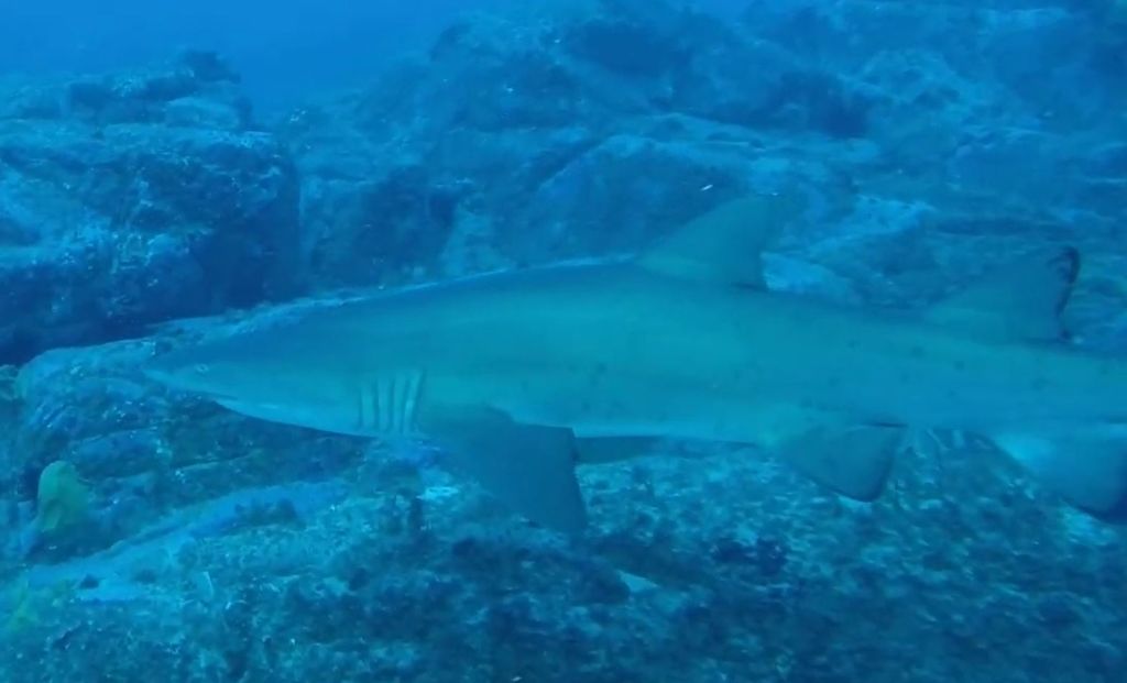 7beb463f-0516-4003-9315-8fc0015d2019