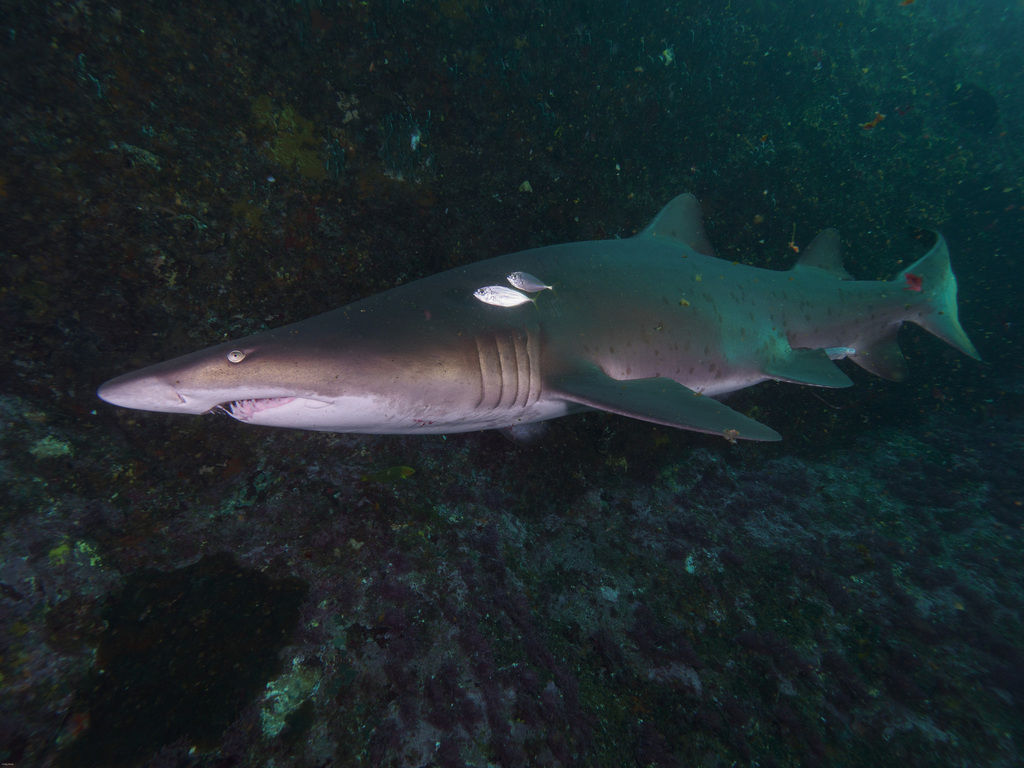 ba760ec0-698f-4bc9-9d6e-b36aa0d6a8bf