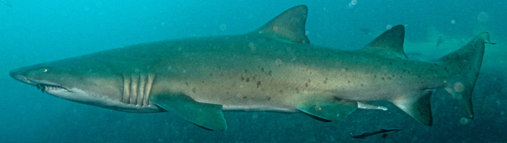 b85d7c32-13bd-46b9-92e2-17f0161e1549