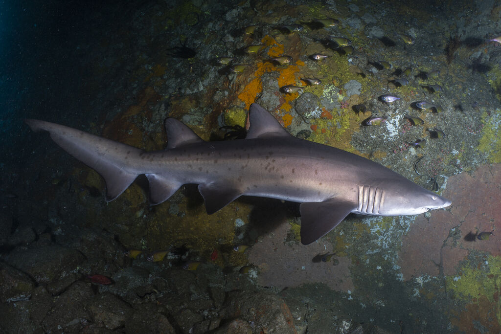 483c90d2-fbc6-4ab0-8a47-259ee04f7d83