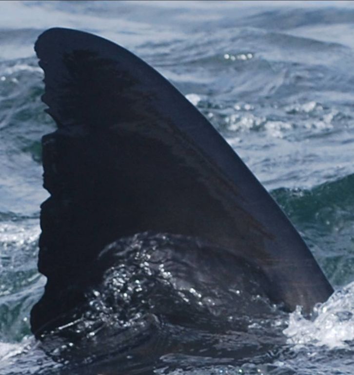 597c39d9-a519-4339-9656-59bd0130cde6