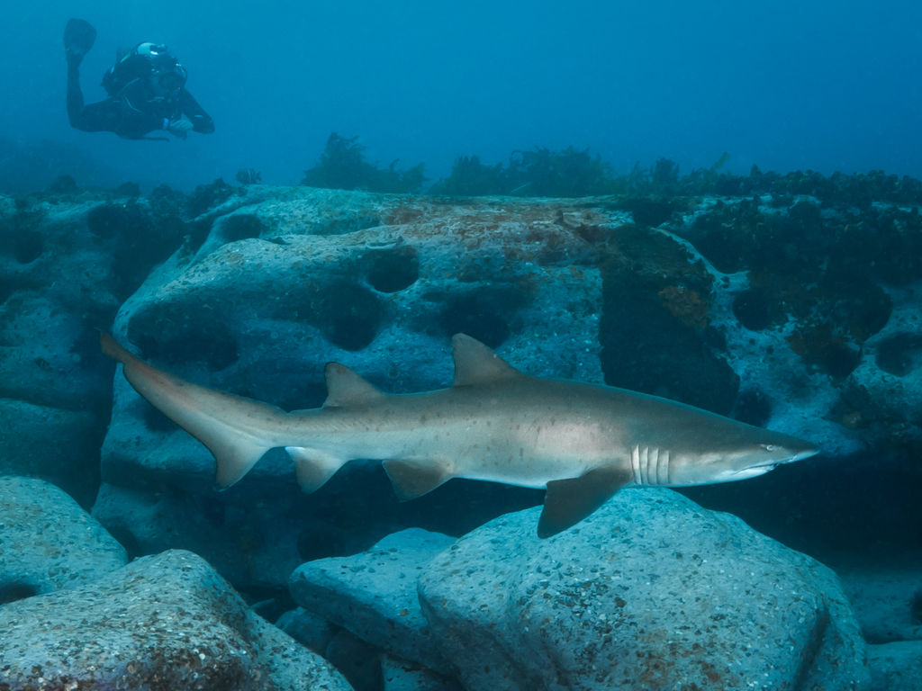 2dc9b0a1-44b7-40e7-8b70-808b604e09b6