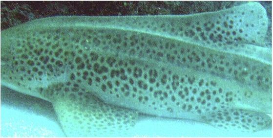 6b7d1fb2-e18a-43ec-9823-3c0ac936ed9c