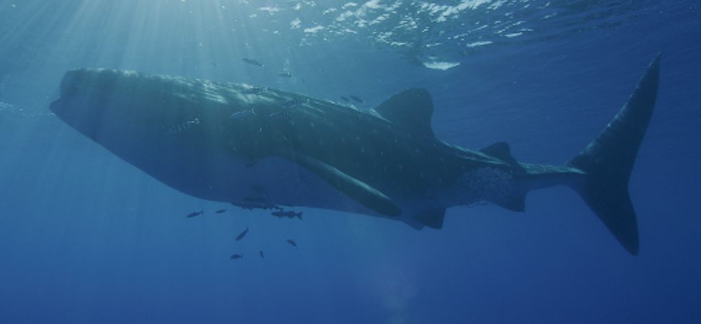 33822cd0-c811-4167-b23f-fccb98c7b8d5