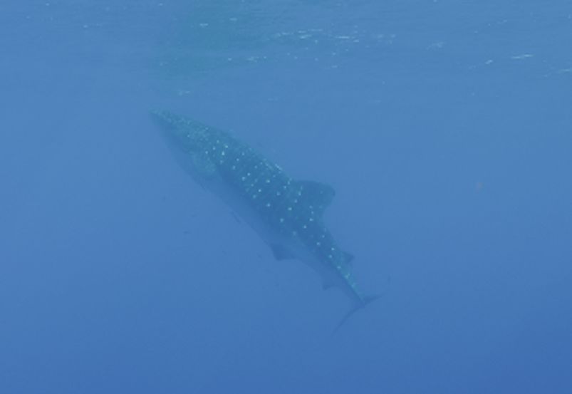 33822cd0-c811-4167-b23f-fccb98c7b8d5