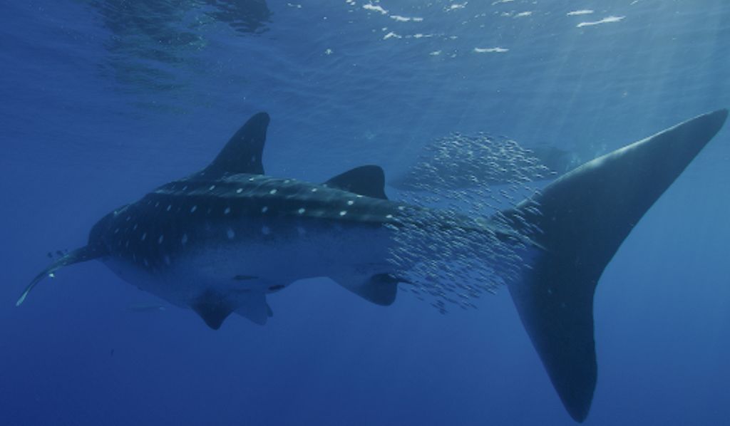 33822cd0-c811-4167-b23f-fccb98c7b8d5