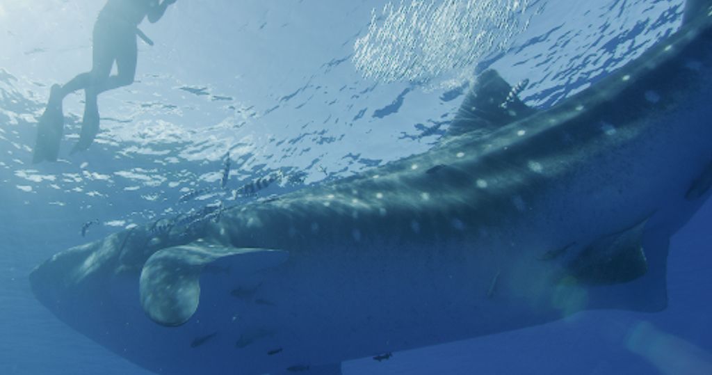 33822cd0-c811-4167-b23f-fccb98c7b8d5