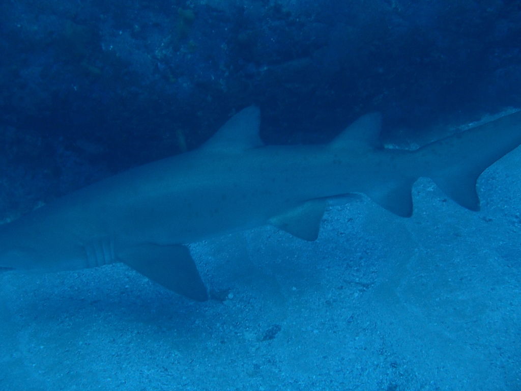 bc632402-73b6-4e36-8a86-b00c4c4c4960