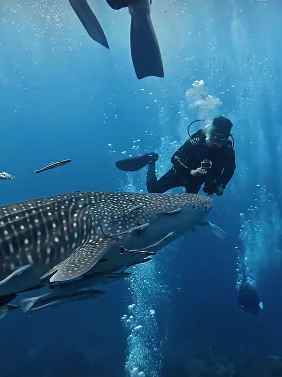 a2ae0464-1aca-4086-9f8c-8affc684a2f5