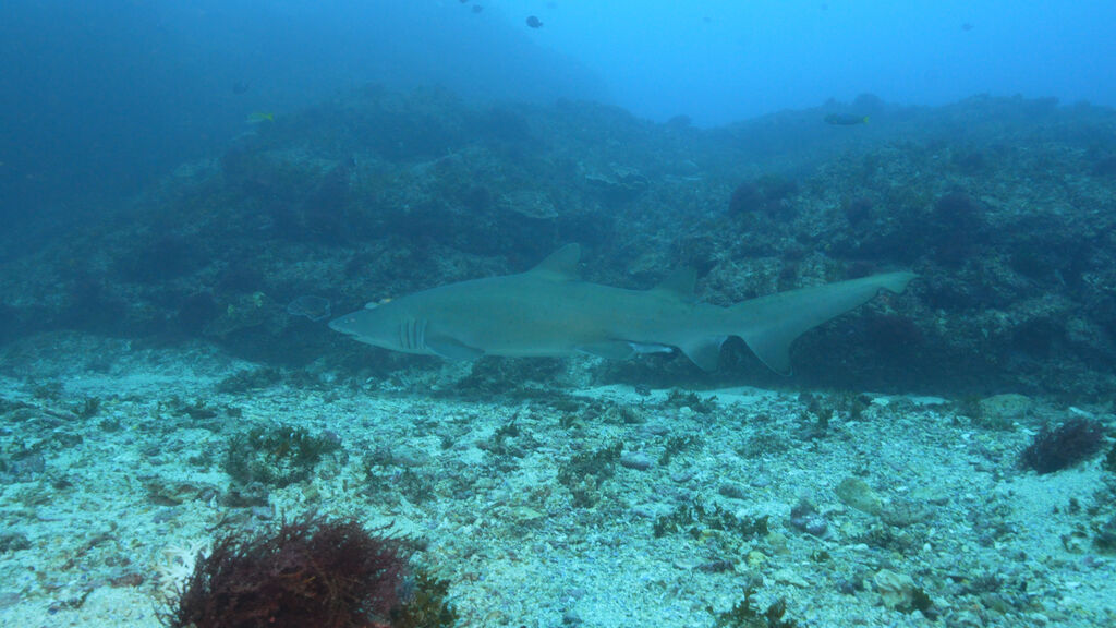 1fa051fd-0834-4f8f-b404-b950413a858e