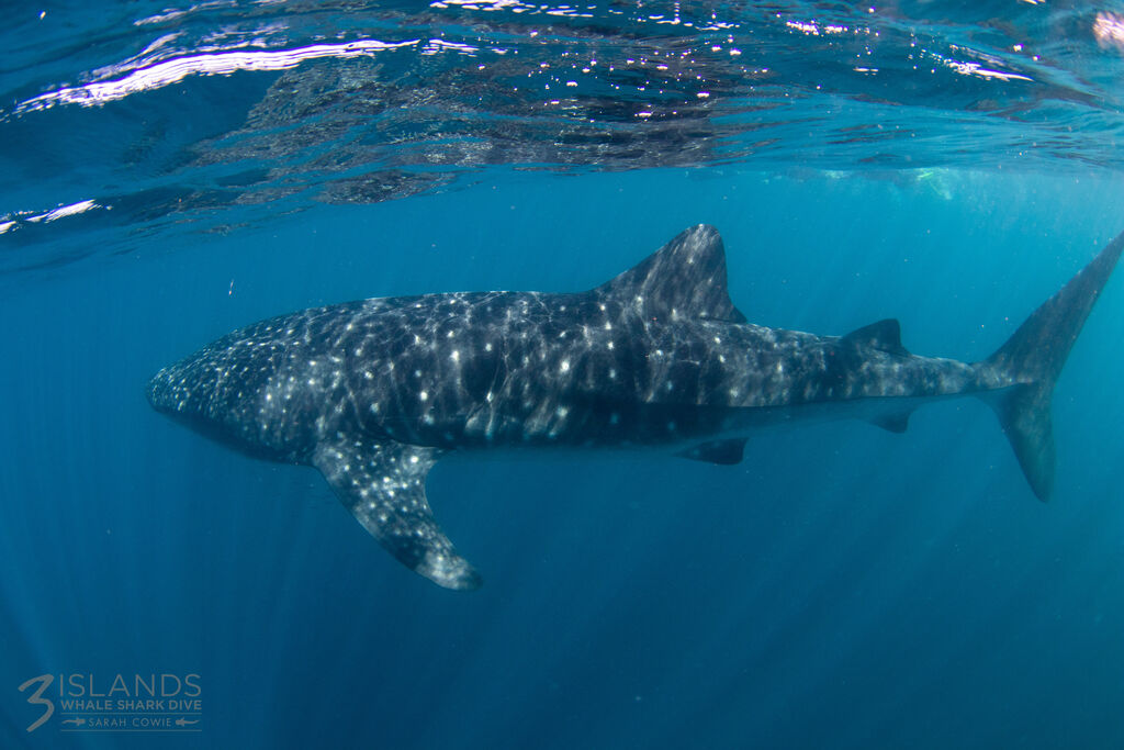 449d83f2-2e8f-41d9-a1b0-6ae632a5a75e