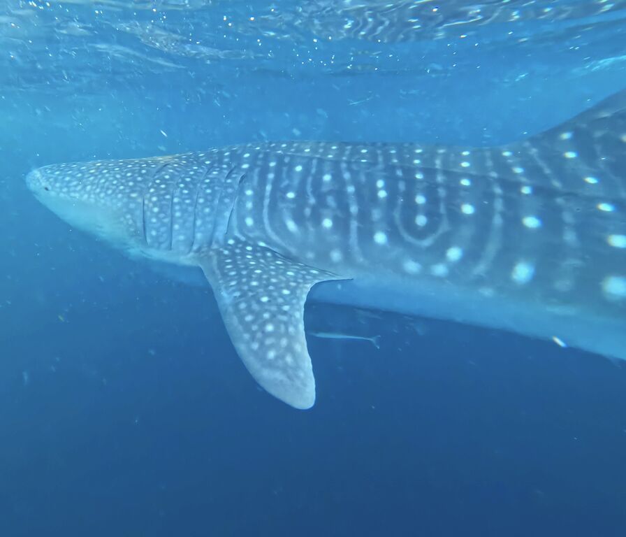 5126dc7e-f759-4ad0-a433-6bc3aad46146