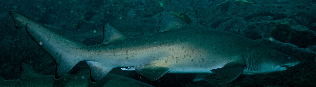 69b89900-4654-4b07-b80d-730104071037