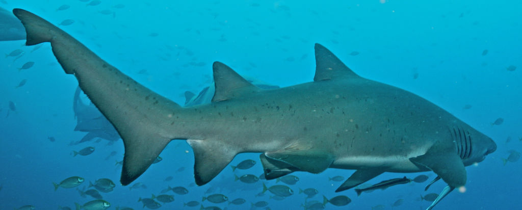 a9aeb856-4989-4036-ab3e-8b40f31df0e2