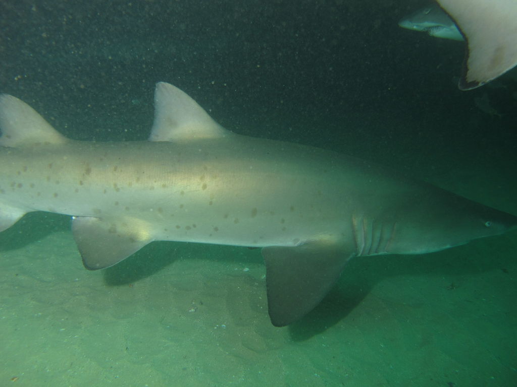 f3397d83-0256-49be-96ec-cc5d5fbf79b7